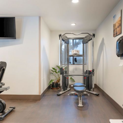 A small gym with exercise equipment including a bike and multi-station machine, a TV, potted plant, paper towel dispenser, and water cooler.