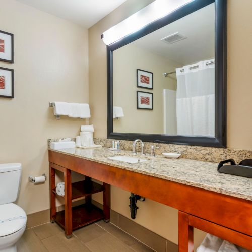 The image shows a bathroom with a toilet, granite countertop with sink, large mirror, wall decorations, a towel rack, and a shower curtain.