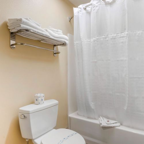 A bathroom with a toilet, a shower area with a white curtain, a towel rack with folded towels, and a roll of toilet paper on the toilet tank.