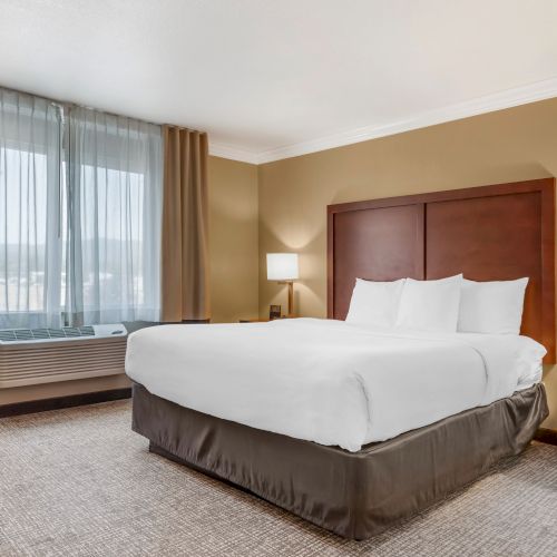 A clean, modern hotel room with a large bed, side tables with lamps, a phone, and a window with curtains letting in natural light.